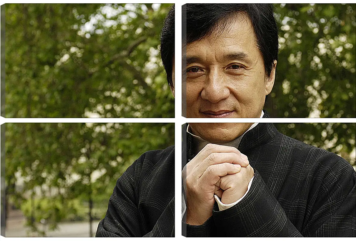 Модульная картина - Джеки Чан. Jackie Chan