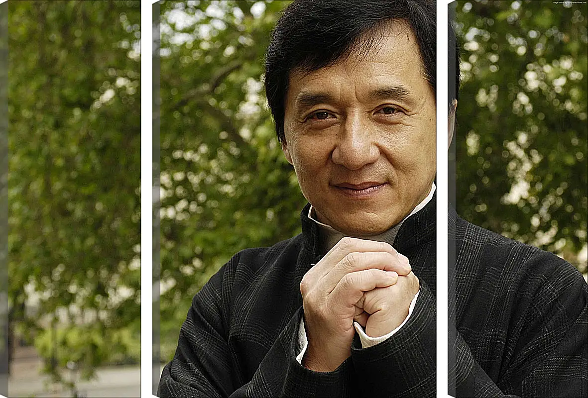 Модульная картина - Джеки Чан. Jackie Chan