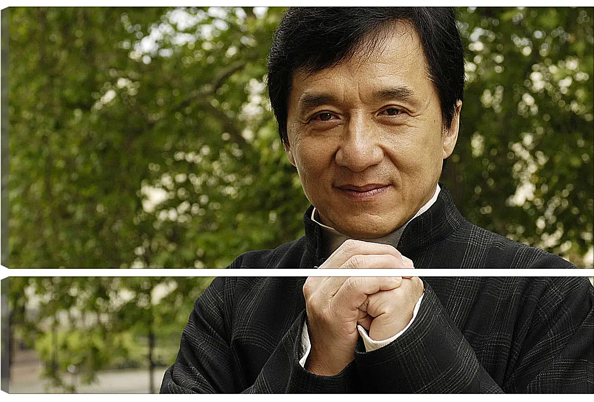 Модульная картина - Джеки Чан. Jackie Chan