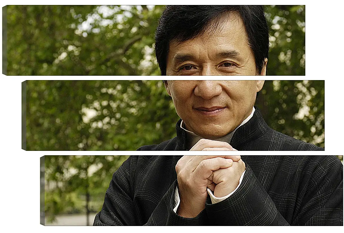 Модульная картина - Джеки Чан. Jackie Chan