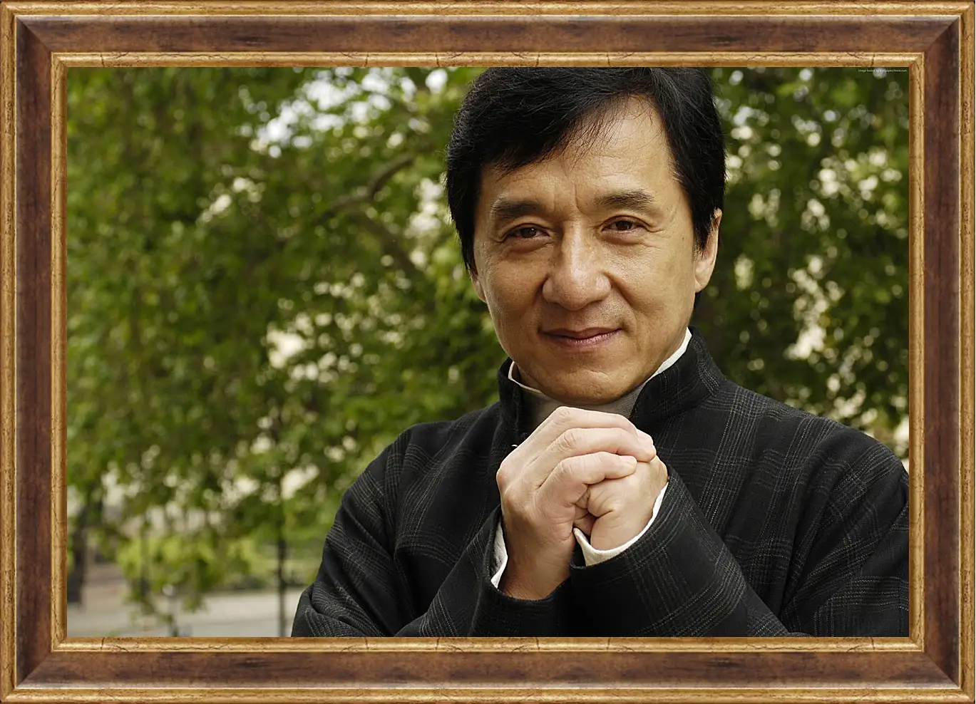 Картина в раме - Джеки Чан. Jackie Chan