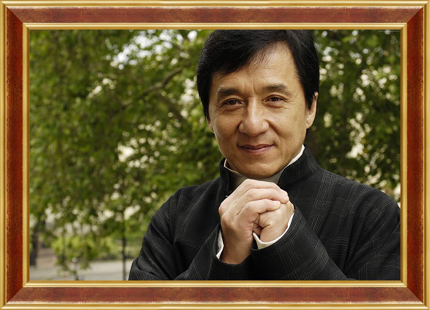 Картина в раме - Джеки Чан. Jackie Chan