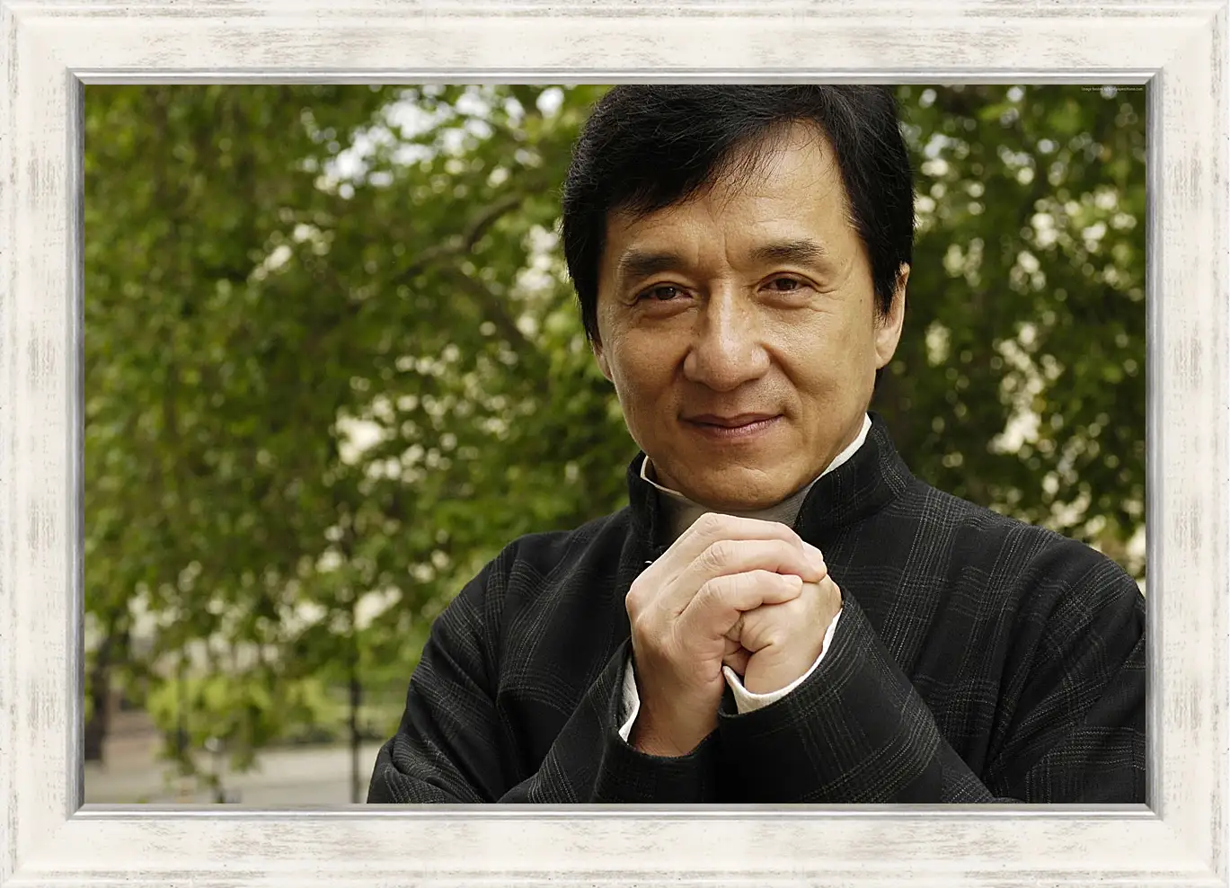 Картина в раме - Джеки Чан. Jackie Chan