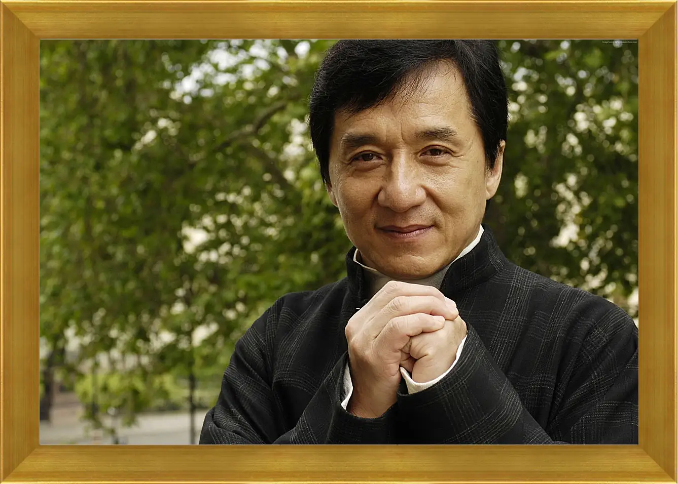 Картина в раме - Джеки Чан. Jackie Chan