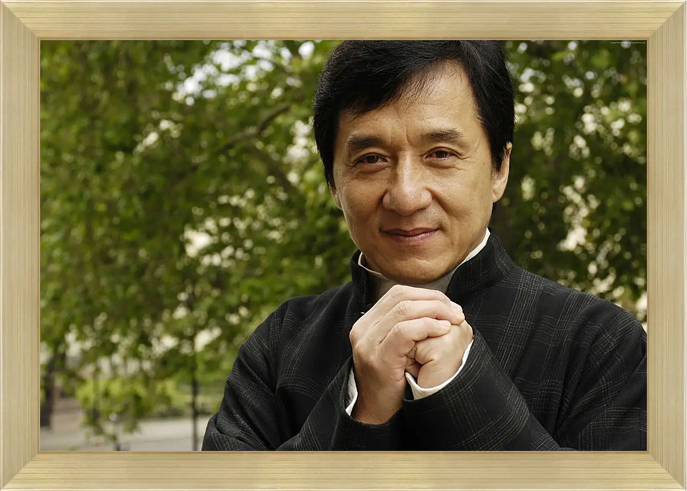 Картина в раме - Джеки Чан. Jackie Chan