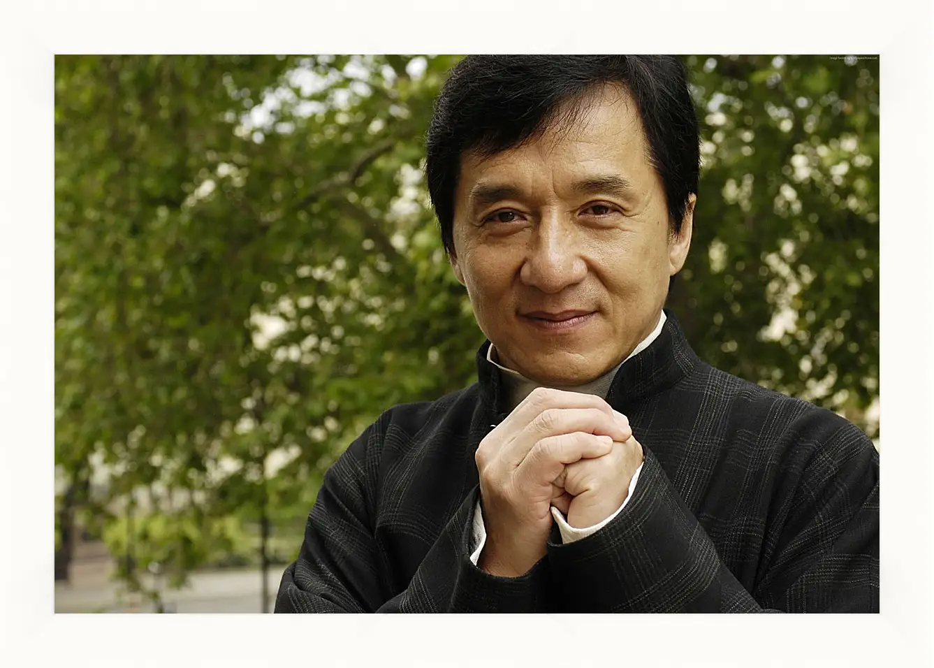 Картина в раме - Джеки Чан. Jackie Chan