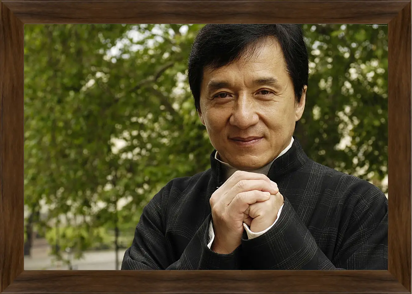 Картина в раме - Джеки Чан. Jackie Chan