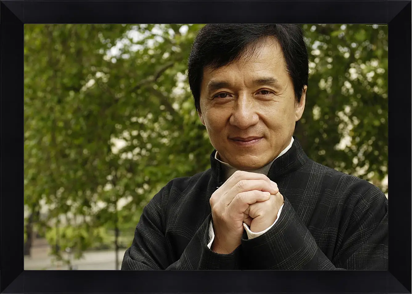 Картина в раме - Джеки Чан. Jackie Chan