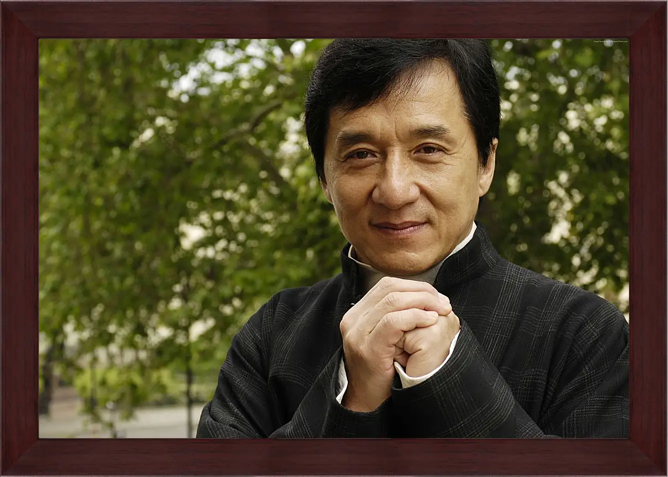 Картина в раме - Джеки Чан. Jackie Chan