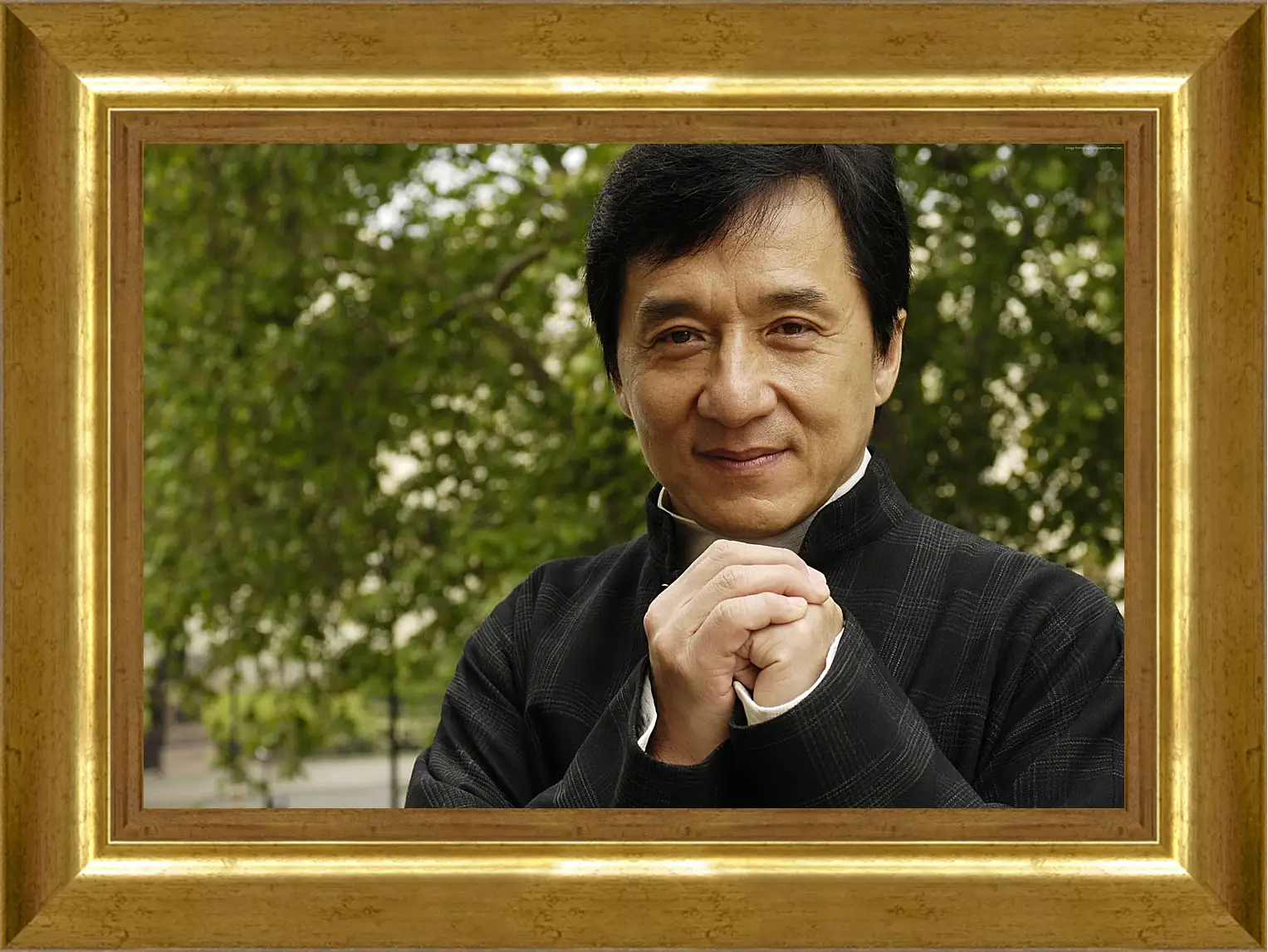 Картина в раме - Джеки Чан. Jackie Chan