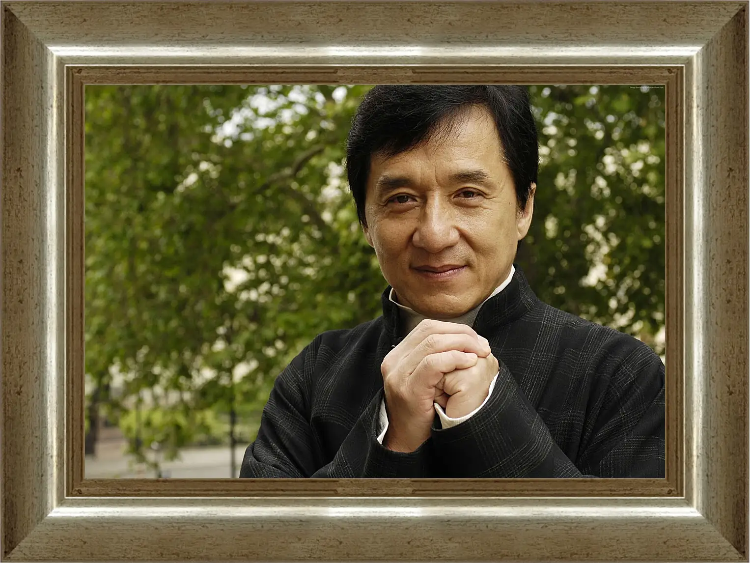 Картина в раме - Джеки Чан. Jackie Chan