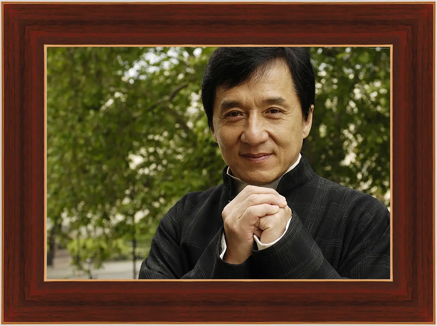 Картина в раме - Джеки Чан. Jackie Chan