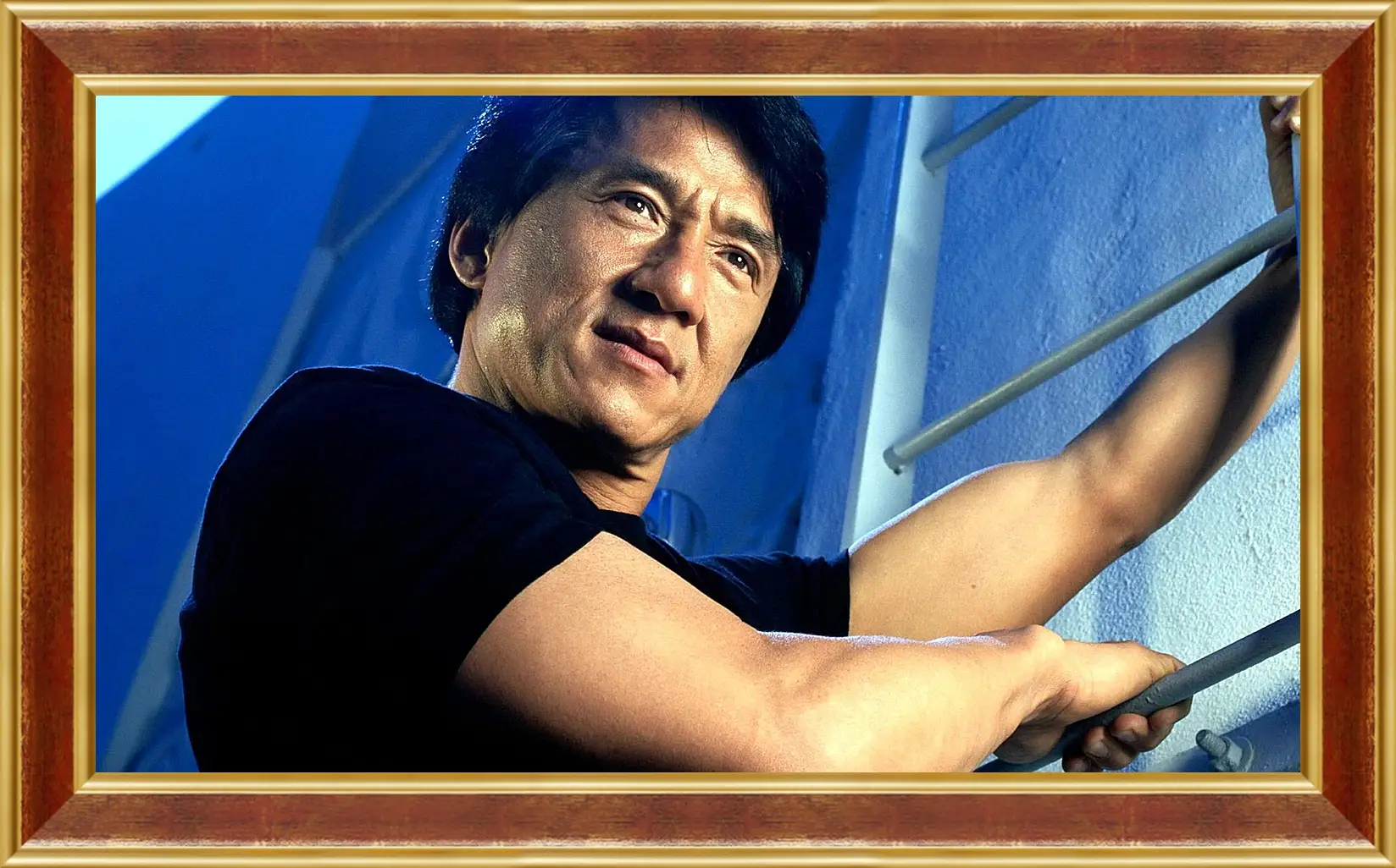 Картина в раме - Джеки Чан. Jackie Chan