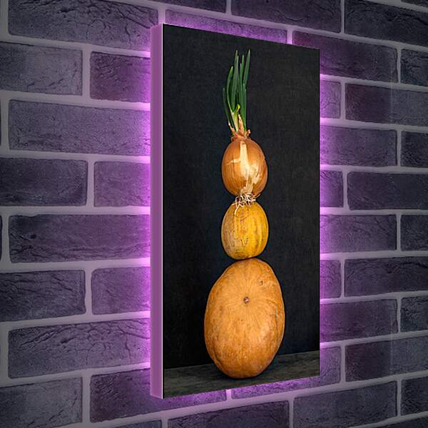 Лайтбокс световая панель - Натюрморт с тыквами и луком