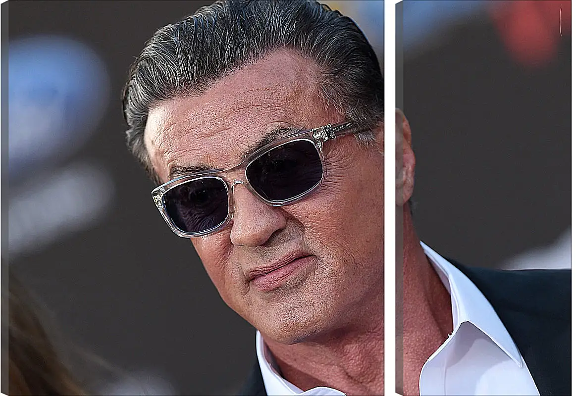 Модульная картина - Сильвестр Сталлоне. Sylvester Stallone