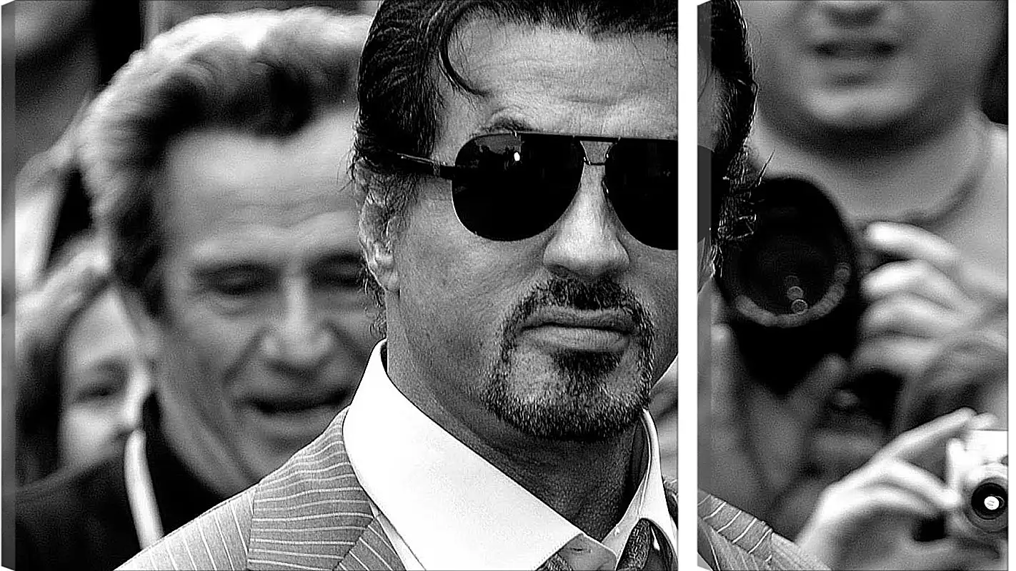 Модульная картина - Сильвестр Сталлоне. Sylvester Stallone
