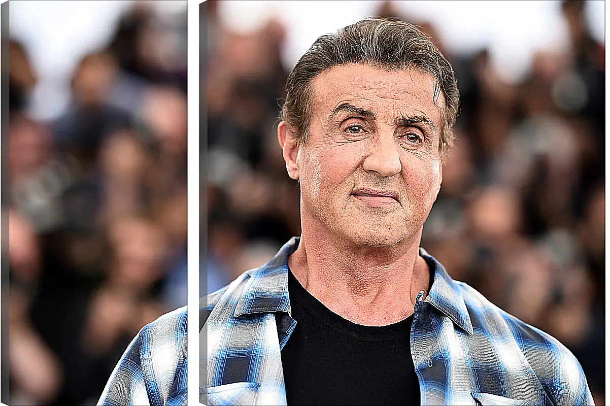 Модульная картина - Сильвестр Сталлоне. Sylvester Stallone