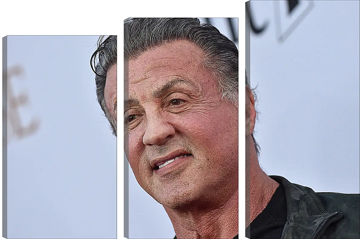 Модульная картина - Сильвестр Сталлоне. Sylvester Stallone