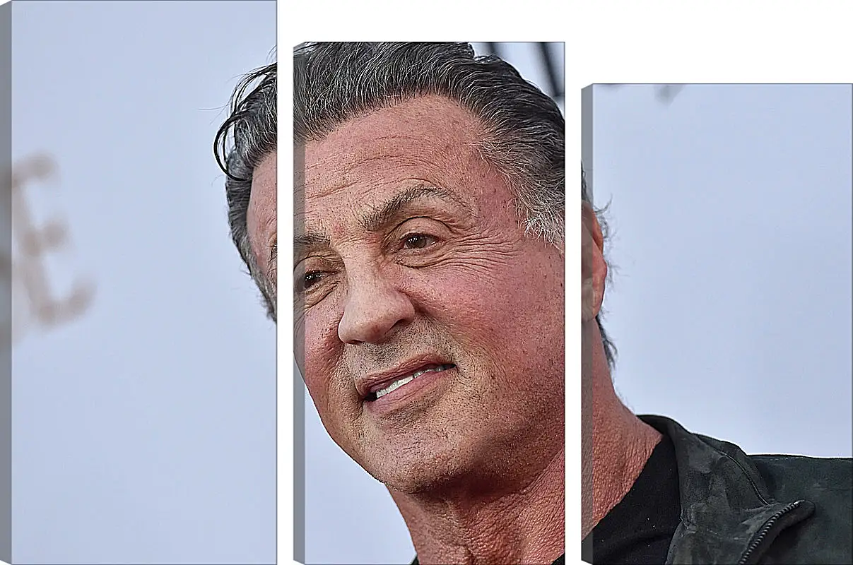 Модульная картина - Сильвестр Сталлоне. Sylvester Stallone