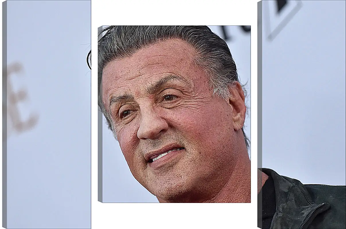 Модульная картина - Сильвестр Сталлоне. Sylvester Stallone