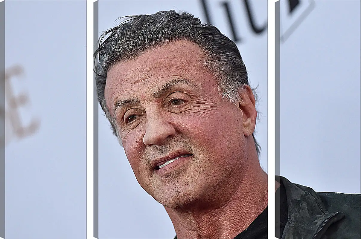 Модульная картина - Сильвестр Сталлоне. Sylvester Stallone