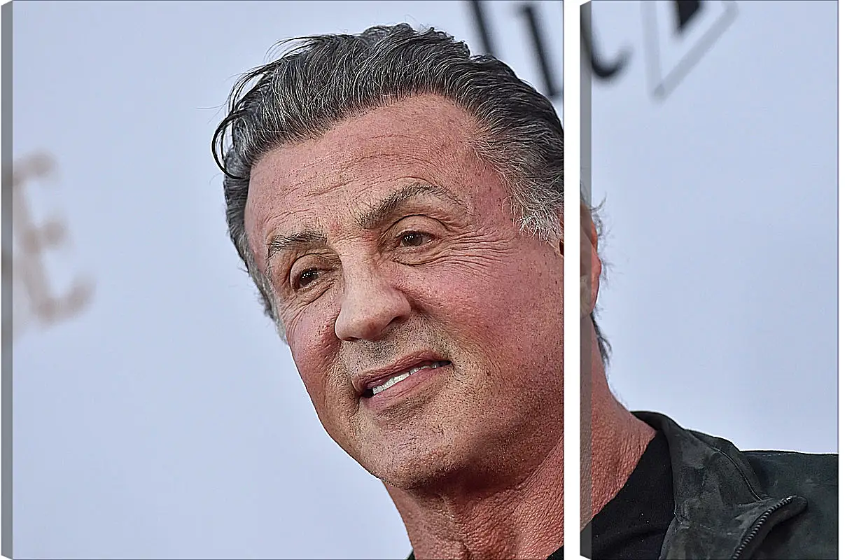 Модульная картина - Сильвестр Сталлоне. Sylvester Stallone