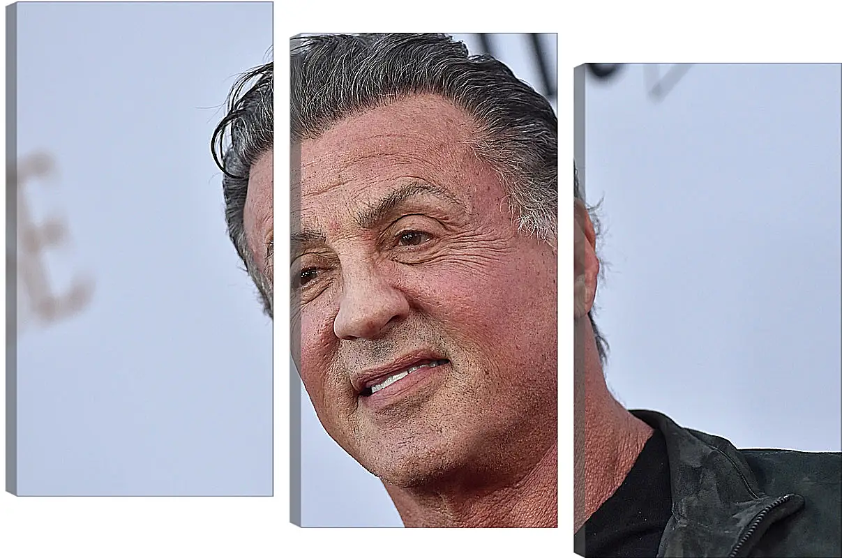 Модульная картина - Сильвестр Сталлоне. Sylvester Stallone