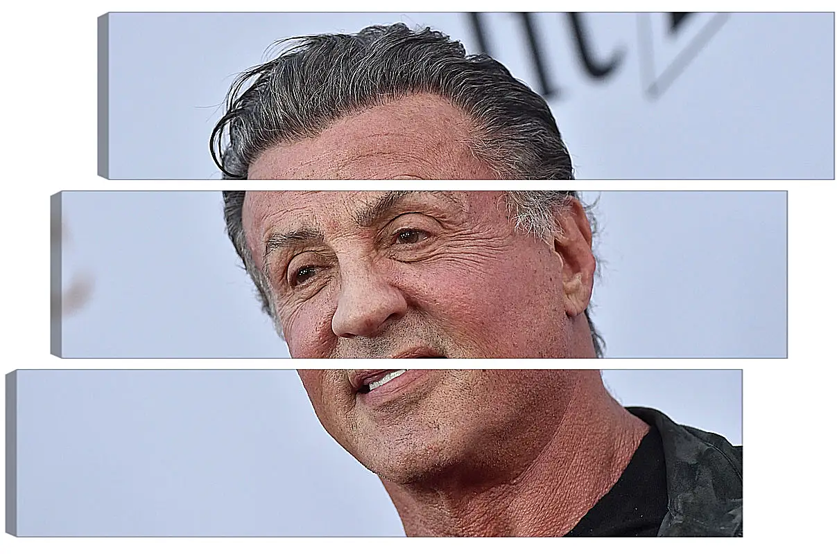 Модульная картина - Сильвестр Сталлоне. Sylvester Stallone