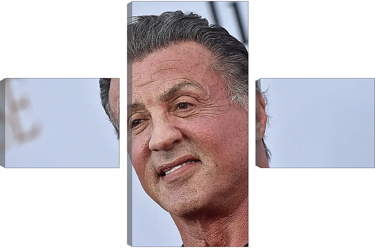 Модульная картина - Сильвестр Сталлоне. Sylvester Stallone