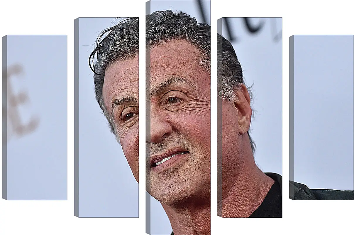 Модульная картина - Сильвестр Сталлоне. Sylvester Stallone