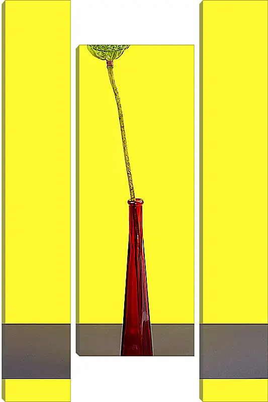 Модульная картина - Плод лотоса без лепестков на жёлтом фоне в красной бутылке