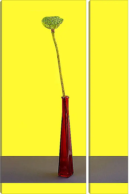 Модульная картина - Плод лотоса без лепестков на жёлтом фоне в красной бутылке