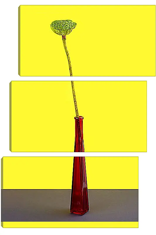 Модульная картина - Плод лотоса без лепестков на жёлтом фоне в красной бутылке