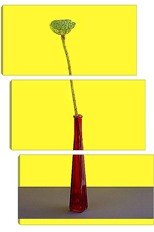 Модульная картина - Плод лотоса без лепестков на жёлтом фоне в красной бутылке