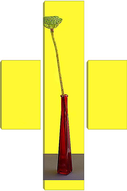 Модульная картина - Плод лотоса без лепестков на жёлтом фоне в красной бутылке