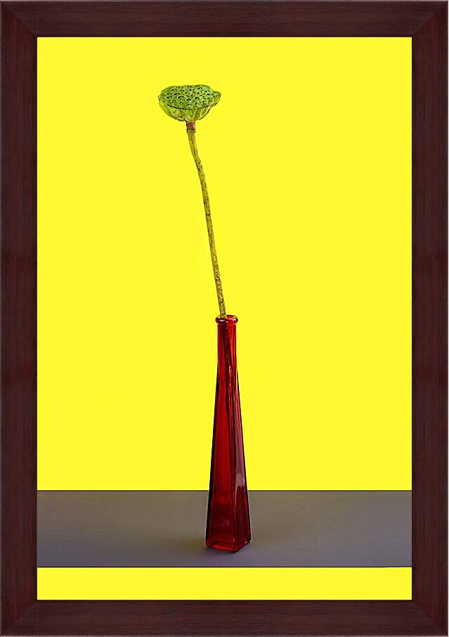 Картина в раме - Плод лотоса без лепестков на жёлтом фоне в красной бутылке