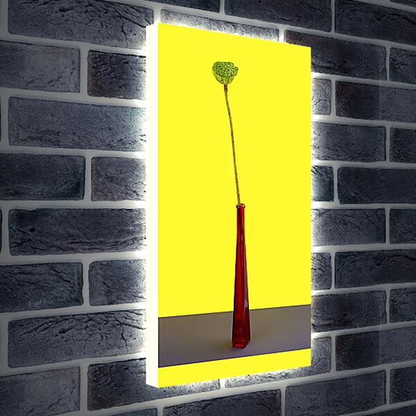 Лайтбокс световая панель - Плод лотоса без лепестков на жёлтом фоне в красной бутылке