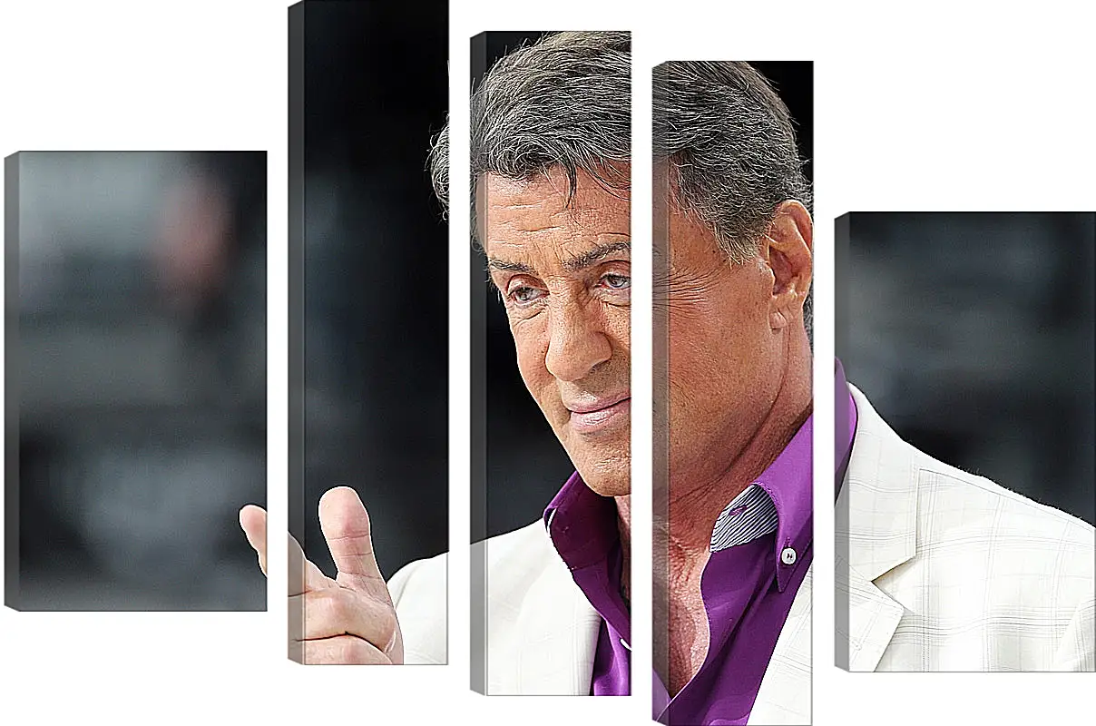 Модульная картина - Сильвестр Сталлоне. Sylvester Stallone