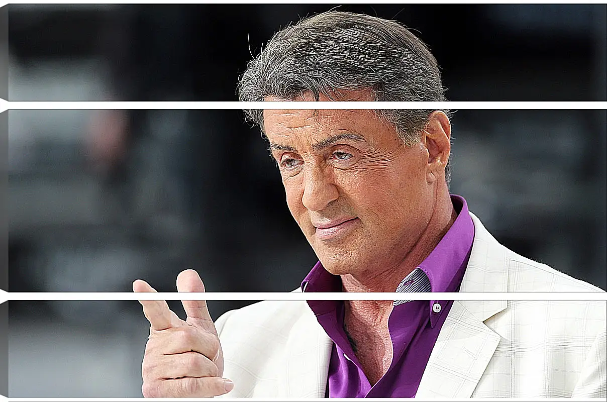 Модульная картина - Сильвестр Сталлоне. Sylvester Stallone