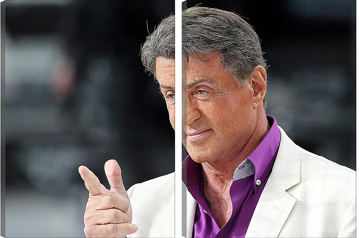 Модульная картина - Сильвестр Сталлоне. Sylvester Stallone