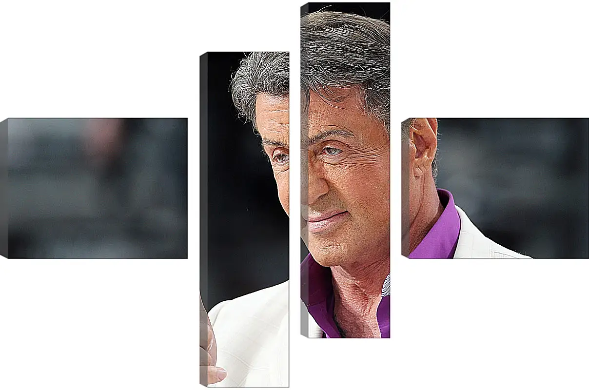 Модульная картина - Сильвестр Сталлоне. Sylvester Stallone