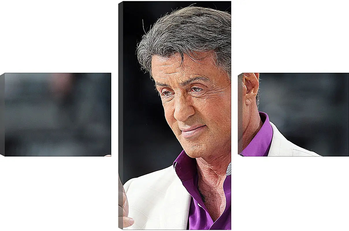 Модульная картина - Сильвестр Сталлоне. Sylvester Stallone