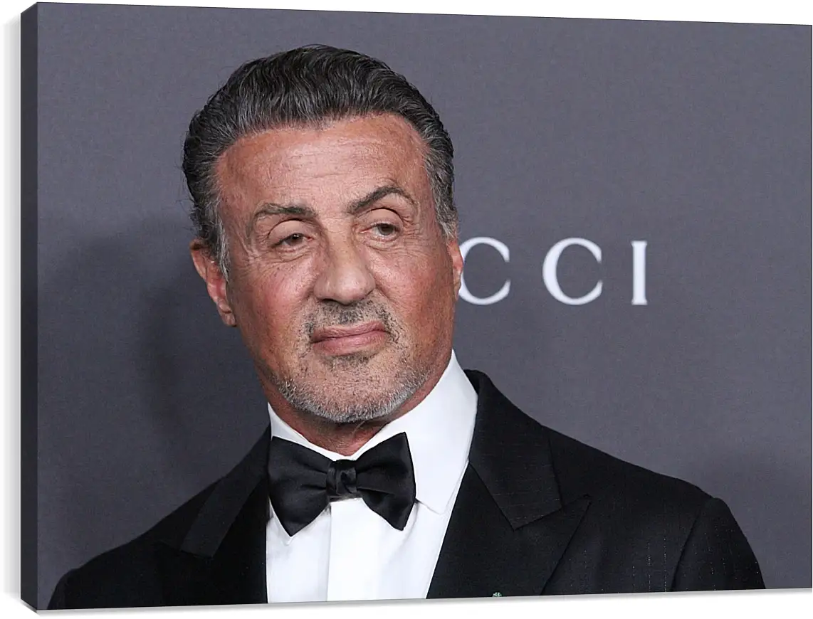 Постер и плакат - Сильвестр Сталлоне. Sylvester Stallone