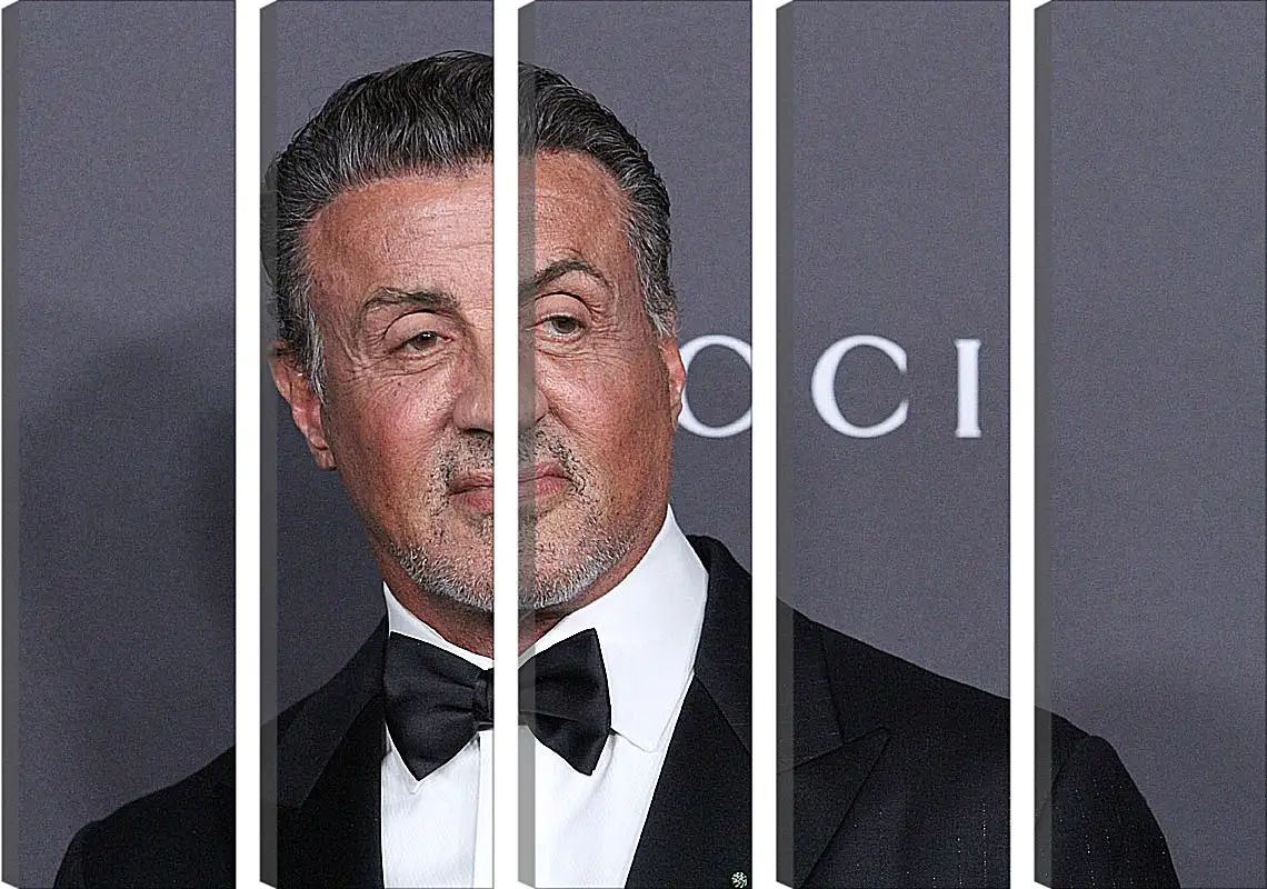 Модульная картина - Сильвестр Сталлоне. Sylvester Stallone