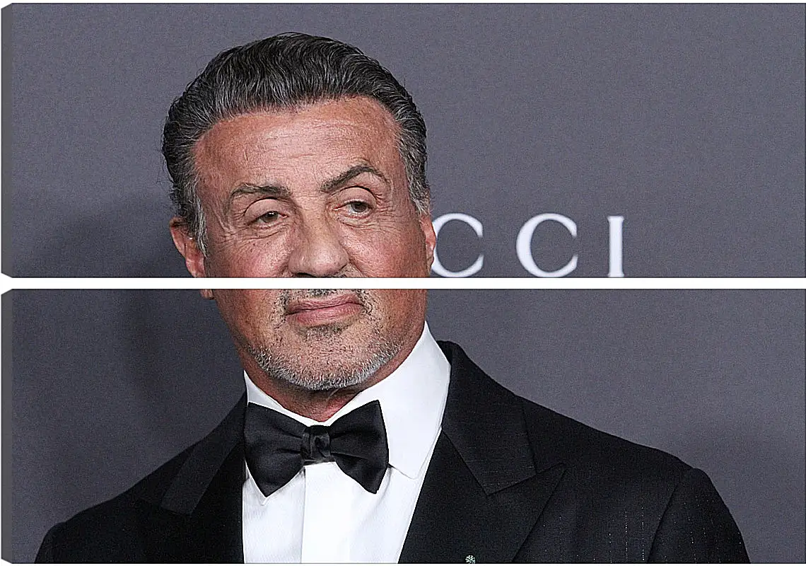 Модульная картина - Сильвестр Сталлоне. Sylvester Stallone