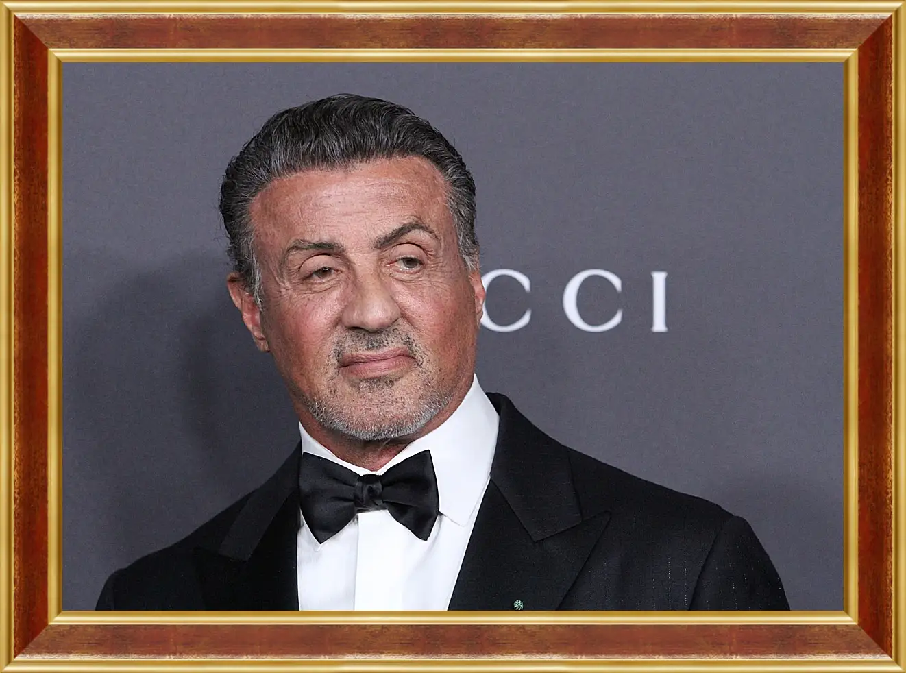 Картина в раме - Сильвестр Сталлоне. Sylvester Stallone