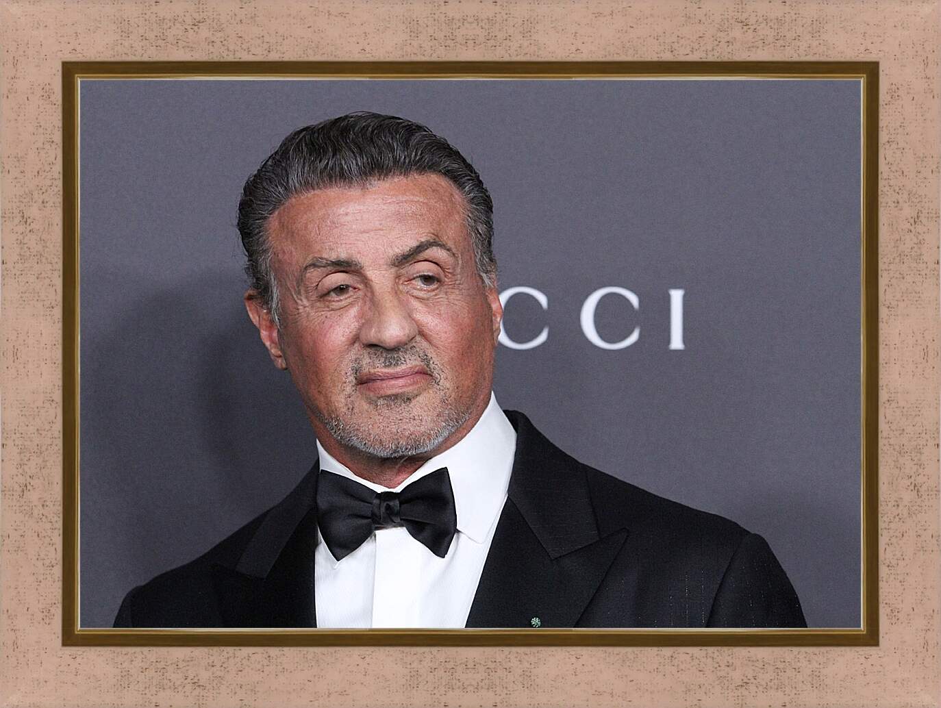 Картина в раме - Сильвестр Сталлоне. Sylvester Stallone