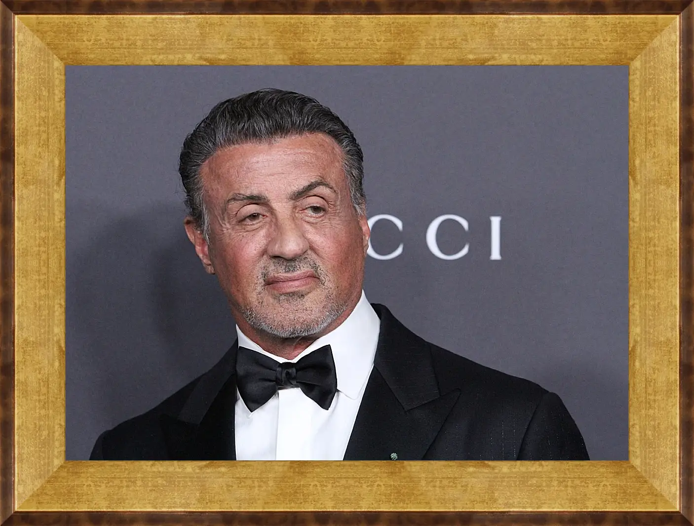 Картина в раме - Сильвестр Сталлоне. Sylvester Stallone