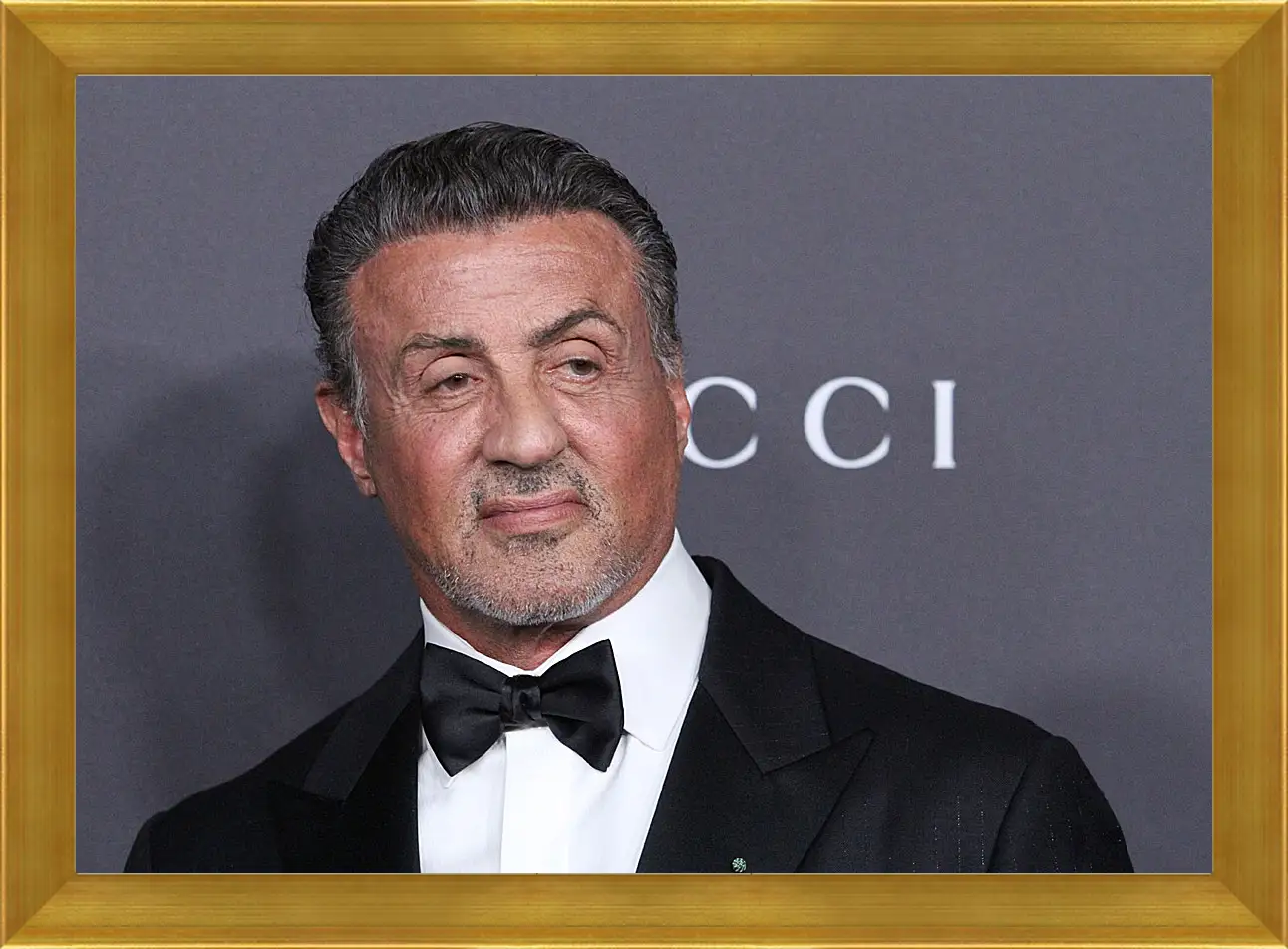 Картина в раме - Сильвестр Сталлоне. Sylvester Stallone