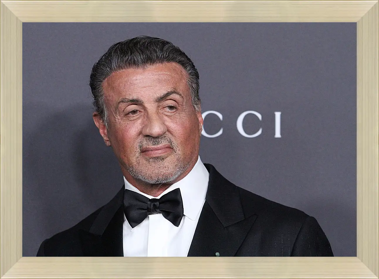 Картина в раме - Сильвестр Сталлоне. Sylvester Stallone